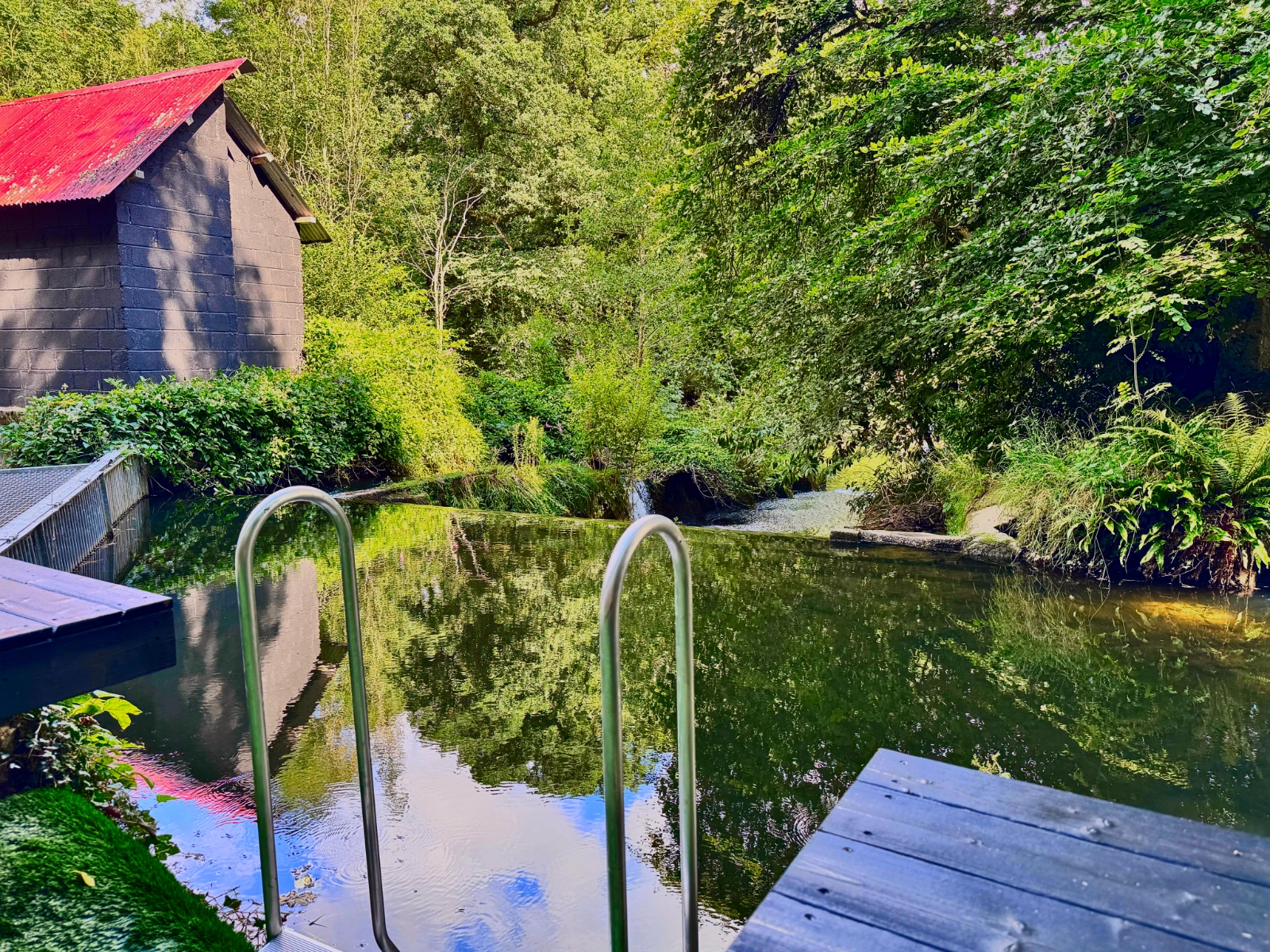 Laois swimming pool with beautiful and natural enviornment relax
